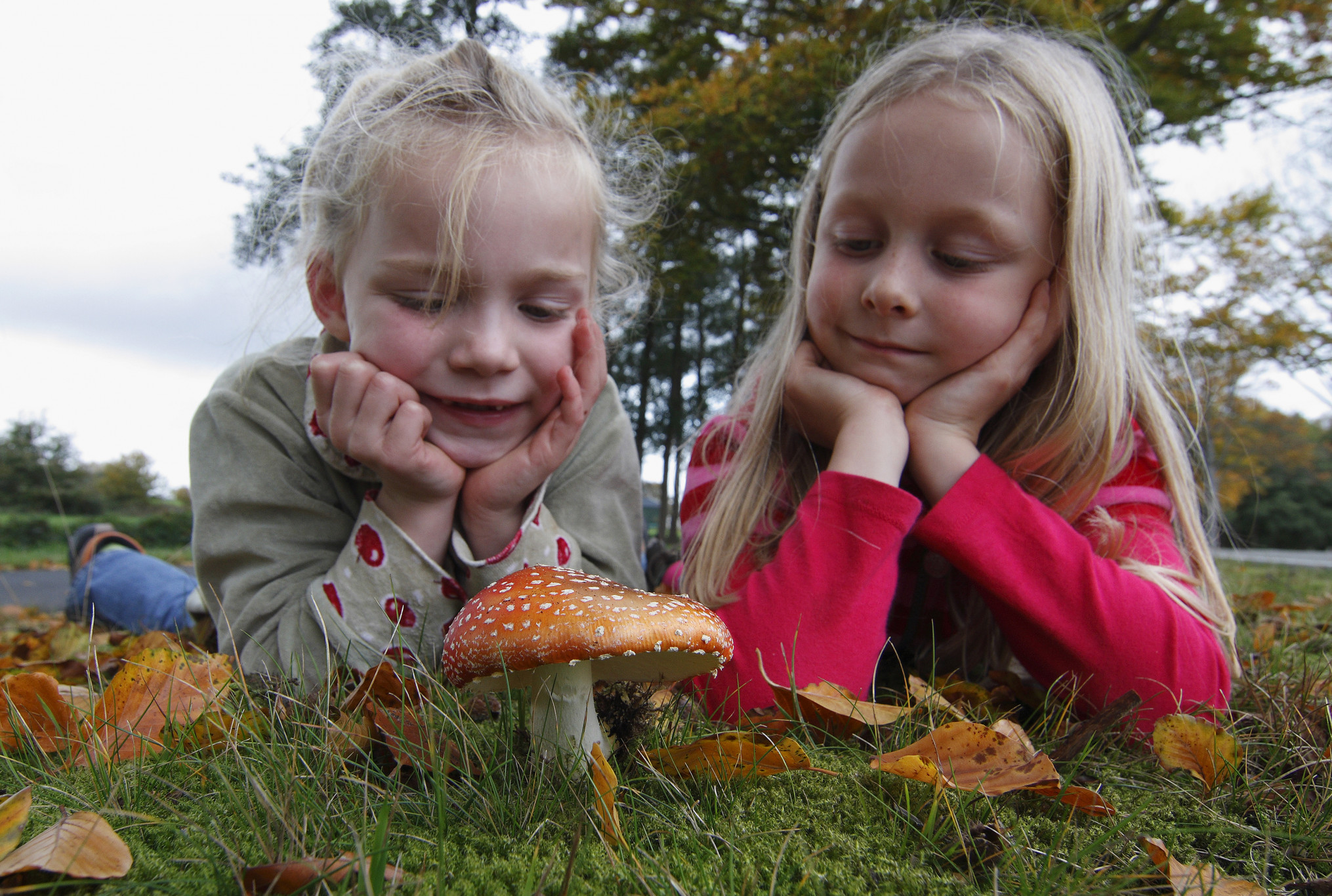 Herfstvakantie bij Accres