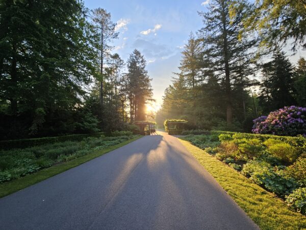 Stadspark Berg & Bos: Terugblik en Vooruitzicht