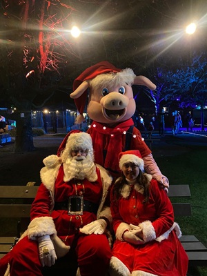 Binky's Lichtjesfeest 2025
